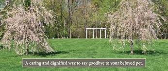 Oahu pet crematory in kailua, hi, provides grieving pet owners on oahu with respectful, sensitive means to say goodbye to a pet and memorialize saying goodbye is never easy, and we at oahu pet crematory in kailua know that's so. Hamilton Pet Meadow Pet Funeral Services Hamilton Nj