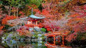 Outside the tropics, autumn marks the transition from summer to winter, in september (northern hemisphere) or march (southern hemisphere), when the duration of daylight becomes noticeably shorter and the temperature cools considerably. Autumn In Japan 2021 Fall Foliage Forecast Jrailpass