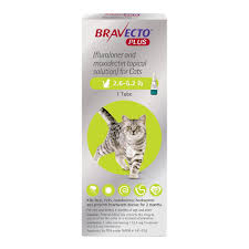 Bravecto Plus Topical Solution For Cats 2 6 6 2 Lbs 2 Month Supply Petco