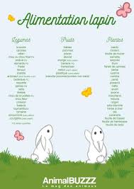 Vos Caresses Vos Instants De Complicites Jouent Sur Le Bien Etre De Votre Lapin Mais En Premier Lieu C Est Son Ali Alimentation Lapin Lapin Nourriture Lapin