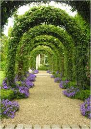 Paul Doyle Garden Designer Sandford Garden Garden Arches Beautiful Gardens Garden Arbor