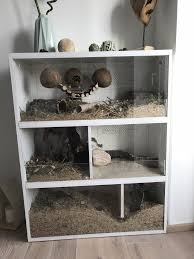 Pic Only Ideas For Hammy Jr Hamster Diy Cage Hamster House Hamster Cages