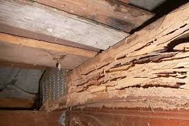 Crawl spaces (also known as retro treasure rooms) are small secret rooms that can be entered by touching trapdoors with ladders in them. Crawl Space Termite Damage Pests Dry Pro Systems