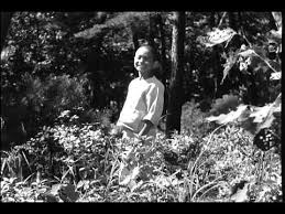 Das korean film archive ist eine gemeinnützige organisation, die sich um die restaurierung und bewahrung koreanischer spielfilme bemüht. Korean Film Archive Film Archive Foreign Film Film School