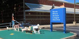 When you adopt, you're not just giving a deserving dog a home. Port Washington Ny Ny Services Animal League