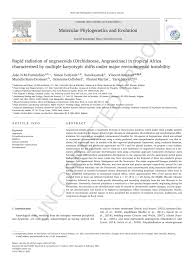 Image result for Kylicanthe rohrii