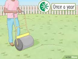 Also, consider rolling to pack gravel paths and cart. How To Level A Bumpy Lawn With Pictures Wikihow