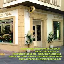 Floristería Pozoflor