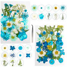 Check spelling or type a new query. Amazon Com Yrym Ht Dried Flowers 75 Pcs Natural Blue Dried Flower Herbs Kit For Bath Soap Making Candle Making And Resin Jewelry Making Art Floral Decors Home Kitchen