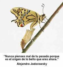Pin En Metamorfosis