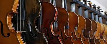 Find deals on products in music instruments on amazon. Best Violin For Beginners Top 15 Brands Takelessons Blog