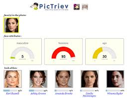 Pimeyes is an online face search engine that goes through the internet to find pictures containing given faces. 4 Free Face Search Engines To Search A Face On The Web