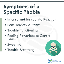 Image result for Specific Phobia