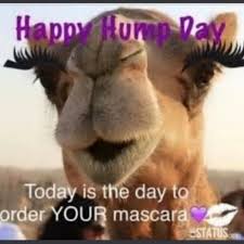 With tenor, maker of gif keyboard, add popular hump day camel animated gifs to your conversations. Happy Hump Day Huns Youniqueamua