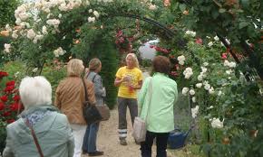 Interesting that we already have the reveal about lynn: Nicht Nur Rosenrot Der Rosengarten In Hadamar Raus Aus Koln Themen Kolnerleben