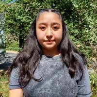 70+ "Pinto Toro" profiles