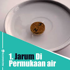 Nah kita juga bisa melihat dimana kira kira arah kiblat ditunjukkan. Tentukan Arah Kiblat Di Dalam Hutan Outdoor Pro Gear Equipment Sdn Bhd