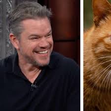Matt Damon shares story about adopted cat from Costa Rica