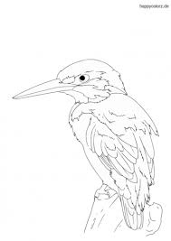 Vogel Malvorlage Kostenlos Vogel Ausmalbilder