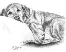 This way you can sketch in lots of light trial lines until you find the right one without messing up your paper. Etsy Your Place To Buy And Sell All Things Handmade Dog Drawing Custom Pet Portraits Pet Portraits