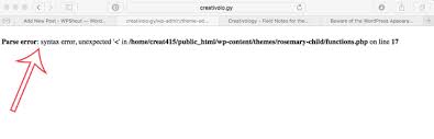 Syntax Errors in WordPress