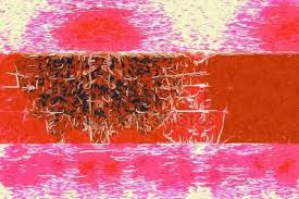 Image result for arte albanese