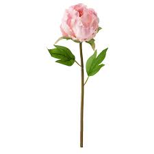 SMYCKA Peony, pink, Artificial flower - IKEA