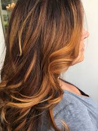 Fall Hair Cinnamon Balayage Copper Beautiful Bronze Professional Hair Color Hair Styles Curly Hair Styles