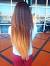 Blonde Highlights Bottom Half Hair