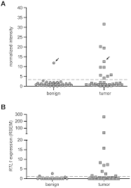 Register transfer level (rtl) is a representation of the digital circuit at the abstract level. Identification Of Rtl1 A Retrotransposon Derived Imprinted Gene As A Novel Driver Of Hepatocarcinogenesis