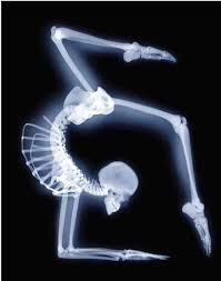 Yoga Skeleton Gymnastics Dance Life Dance