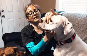 Some in home pet sitters or private pet care providers forgo vaccination policies. Services For Pet Care In Your Home