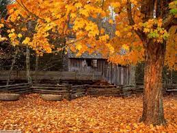 Error Page Autumn Scenery Fall Wallpaper Free Fall Screensavers