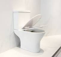 Wholesale Luxury pan dual flush toilet masana'antun da masu ...