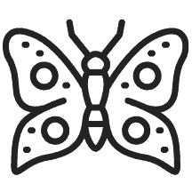 The employees could do better by paying attention and being more respectful. U S Pest Protection 1 Pest Control Company In Nashville Tn