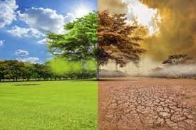 Causes Of Global Warming Essay Exact Definition In 2020 Global Warming Effects Of Global Warming Climate Change