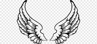 We did not find results for: Angel Dibujo Alas De Dibujos Animados Nino Cara Hoja Png Pngwing