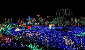 Aol News Politics Sports Latest Headlines Christmas House Christmas Lights Events Uk