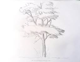 Check spelling or type a new query. Tree Pencil Drawing On Paper How To Draw A Tree