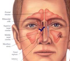 Biasanya, ia bukan perkara yang merisaukan. Terapi Hidung Pernafasan Info Menarik Tertarik