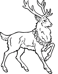 Search images from huge database containing over 620,000 coloring we have collected 37+ christmas reindeer coloring page images of various designs for you to color. Free Printable Reindeer Coloring Pages For Kids