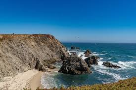 Bodega Head To Watch The Whales In Season Review Of Bodega