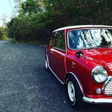 まだ紅葉には早い ローバーミニ 鉄チン 旧車 クラシックミニ ホワイトレター rovermini classicmini フェンダーレス クラシック ミニ 旧車 ローバー