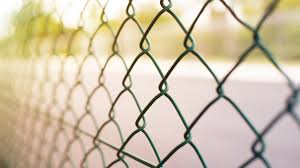 Landscaping ideas around the house. 10 Chain Link Fence Privacy Ideas Ways To Improve Your Fence Look