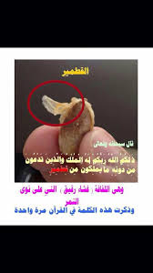 pin by nabil bouhadir on إسلاميات allah general knowledge islam