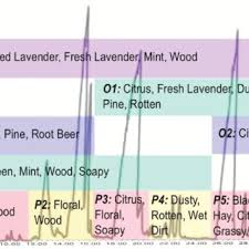 Pdf Flavor Chemistry And Gastronomy Sensory Instrumental And Multivariate Approaches