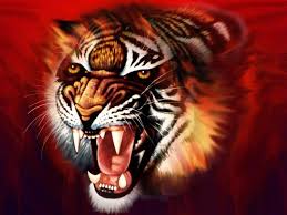 3d Hd Tiger Wallpapers Wallpaper Cave