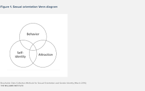 Data Collection Methods For Sexual Orientation And Gender Identity Williams Institute