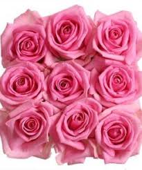 But can you also communicate for free? Pink Cupid Delight 0700flowers