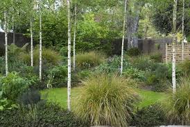 Garden Designer Visit Jinny Blom In Primrose Hill Gardenista Garden Landscape Design Garden On A Hill Garden Trees